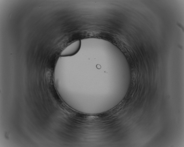 X0000093580222200710151004