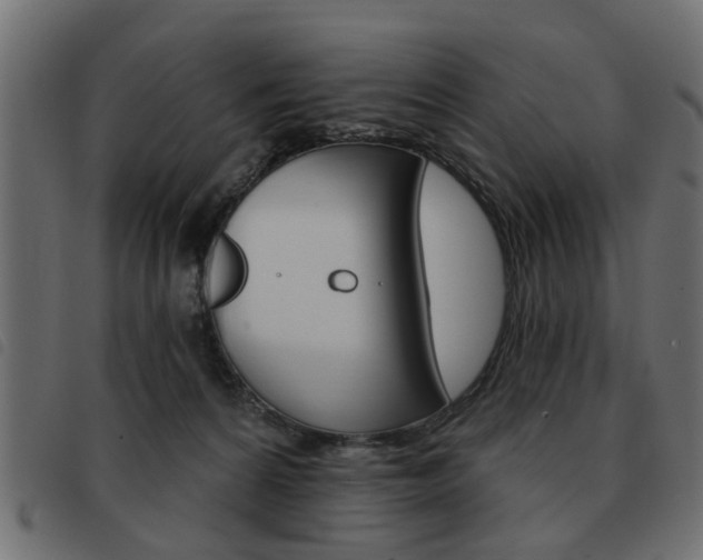 X0000093580224200710151004