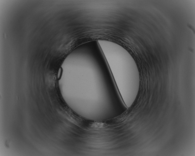 X0000093580227200710151004