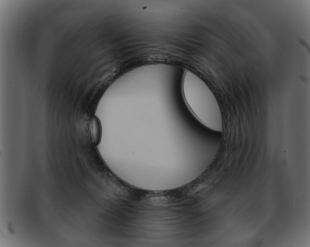 X0000093580228200710151004