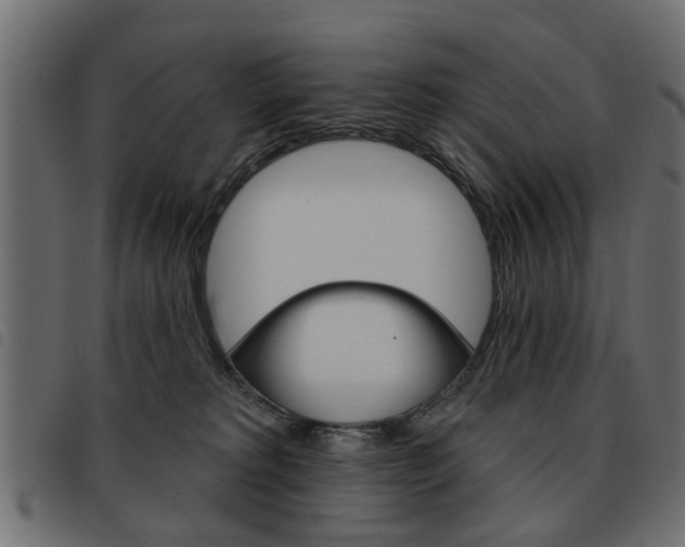 X0000093580229200710151004