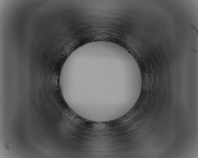 X0000093580230200710151004