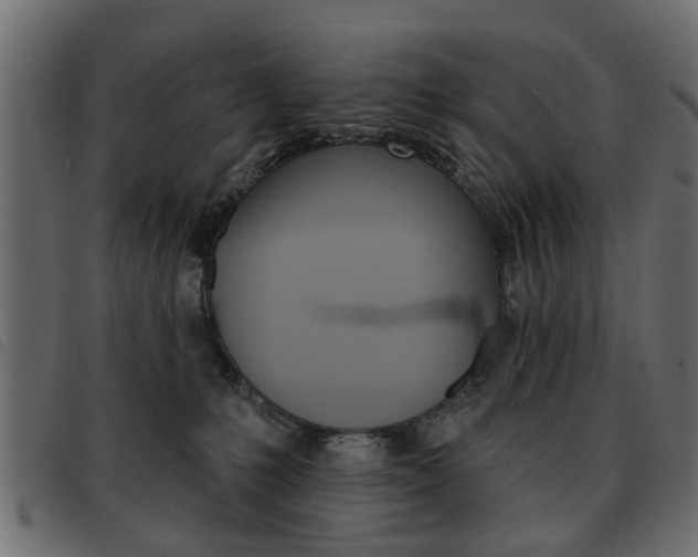 X0000093580231200710151004