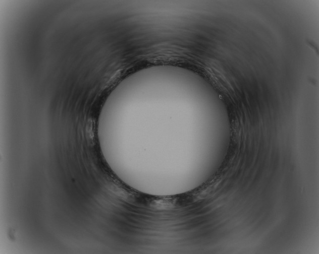 X0000093580232200710151004