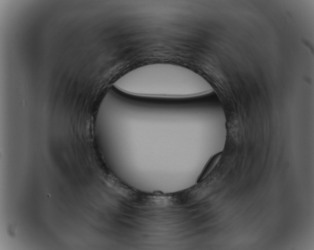 X0000093580233200710151004