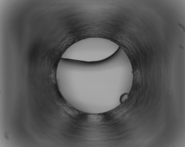 X0000093580234200710151004