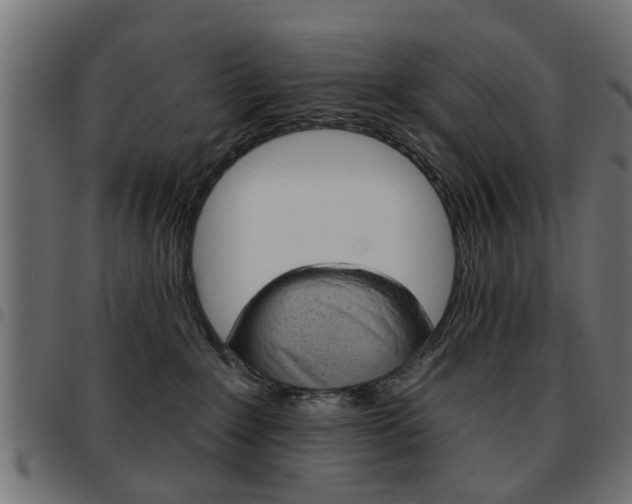 X0000093580235200710151004