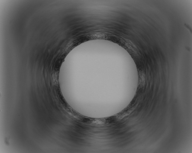 X0000093580236200710151004