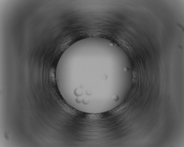 X0000093580238200710151004