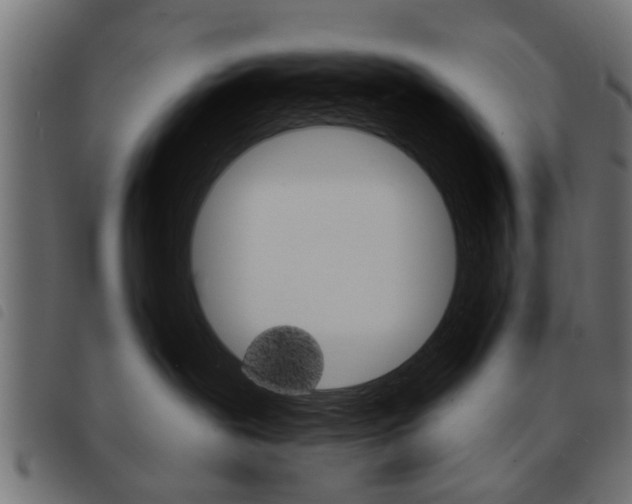 X0000093580239200710151004
