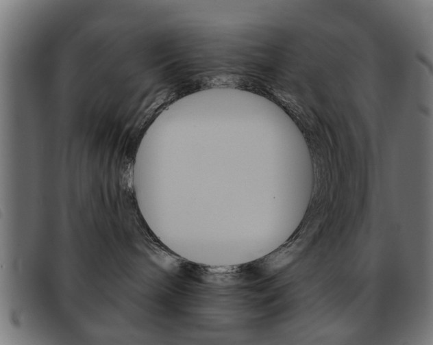 X0000093580240200710151004