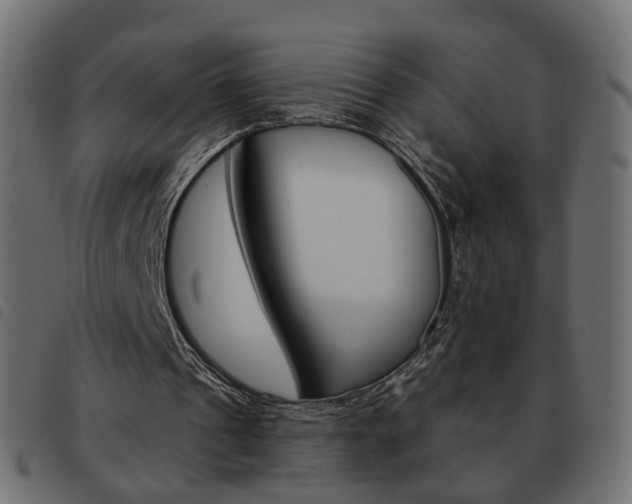 X0000093580241200710151003