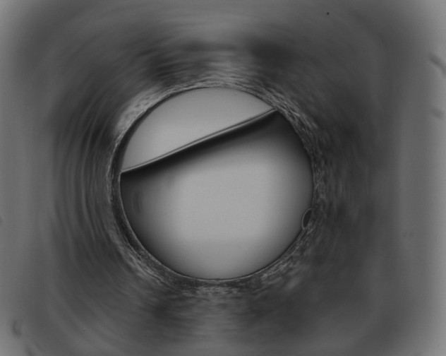X0000093580242200710151003