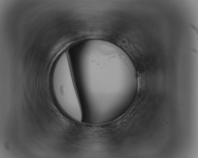 X0000093580243200710151003
