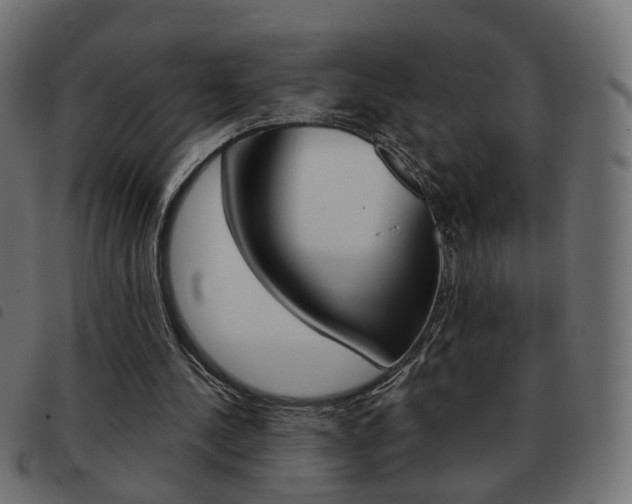 X0000093580244200710151003