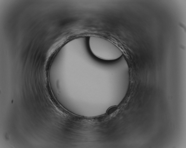 X0000093580245200710151003