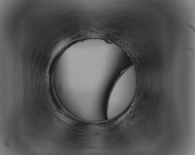 X0000093580246200710151003