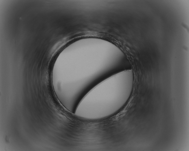 X0000093580247200710151003