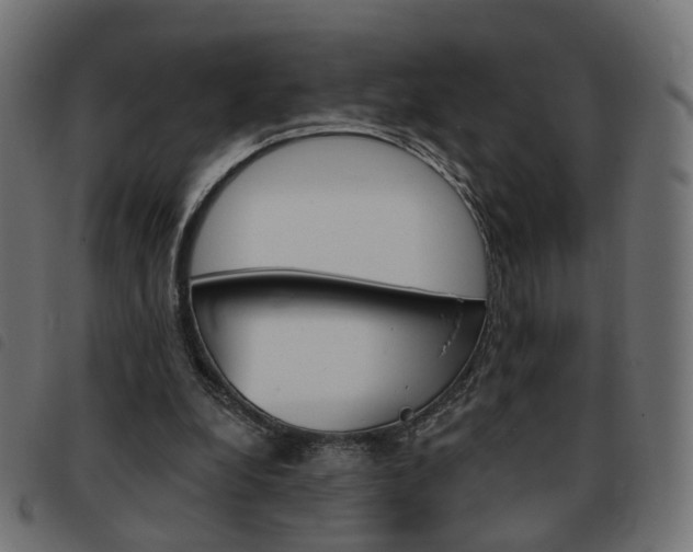 X0000093580248200710151003