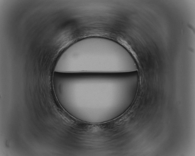 X0000093580249200710151003