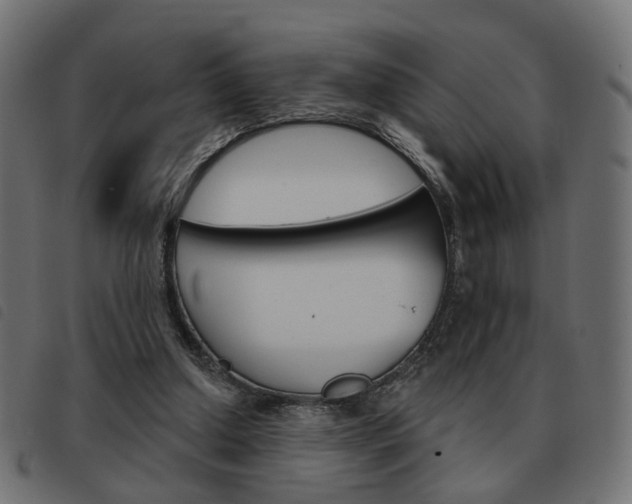X0000093580250200710151003