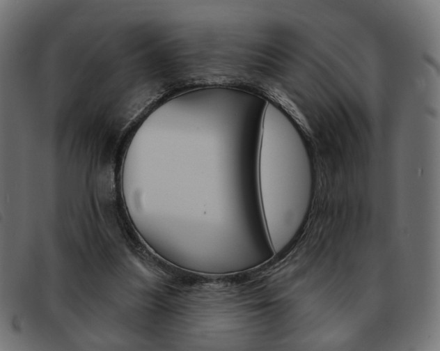 X0000093580251200710151003