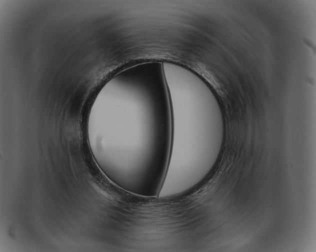 X0000093580252200710151003