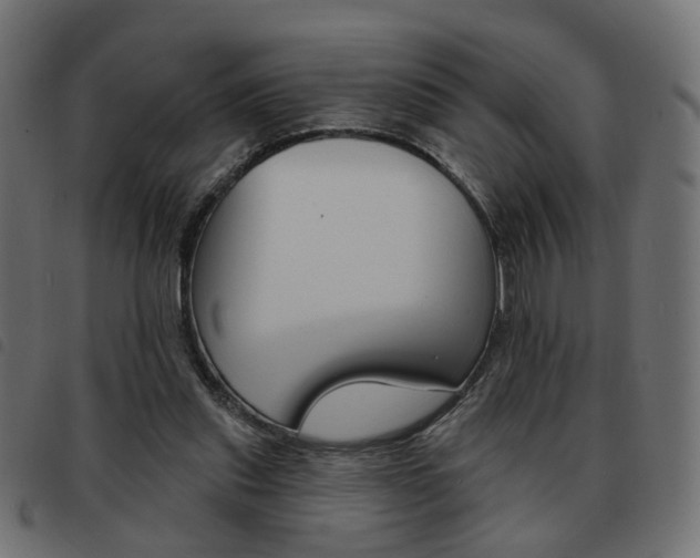 X0000093580253200710151003