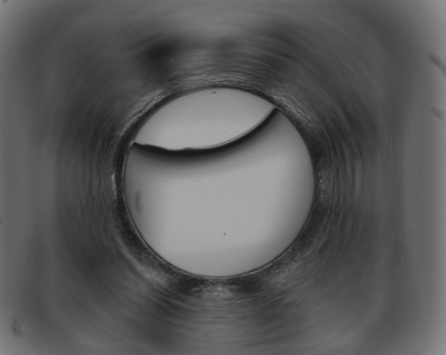 X0000093580254200710151003
