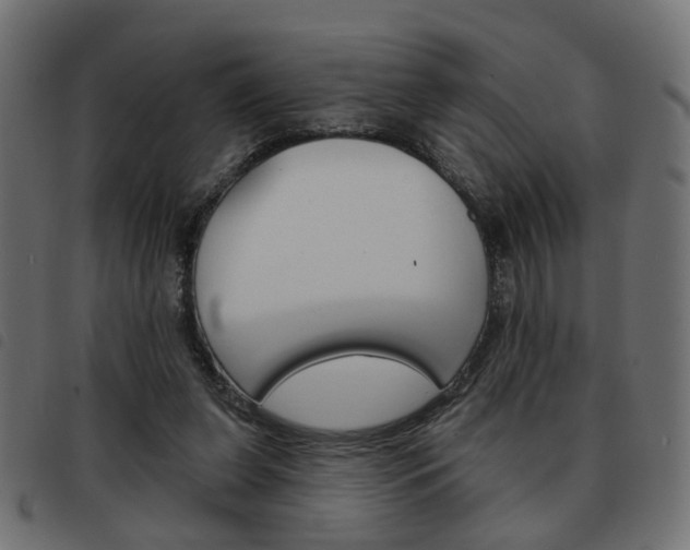 X0000093580255200710151003