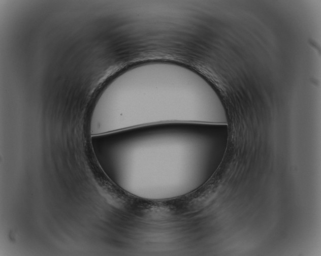 X0000093580256200710151003