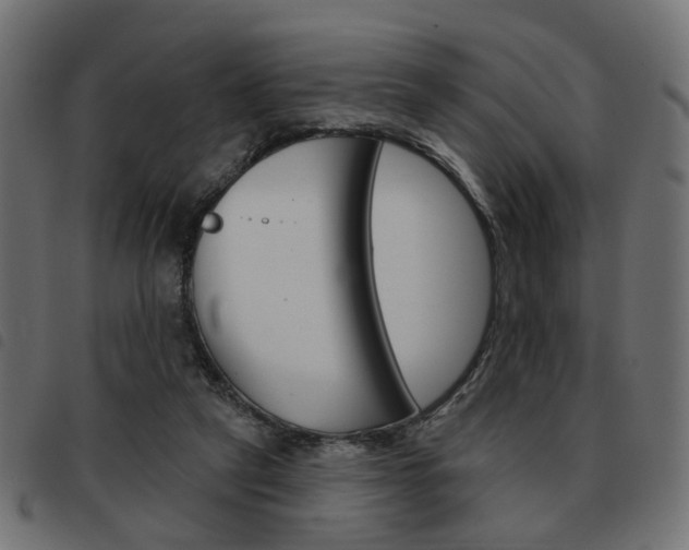 X0000093580257200710151003