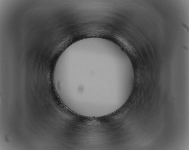 X0000093580258200710151003