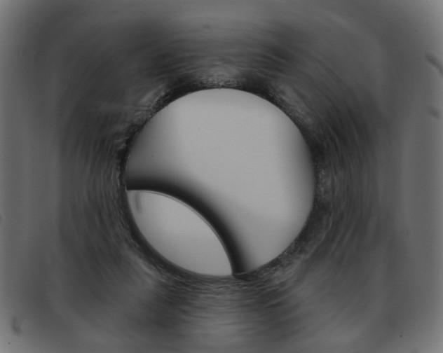 X0000093580259200710151003