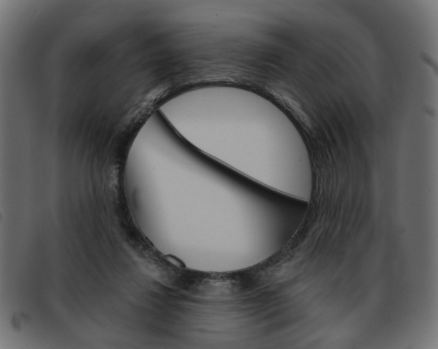 X0000093580260200710151003
