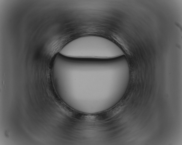 X0000093580265200710151003