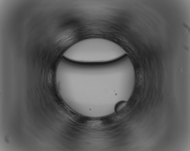 X0000093580266200710151003