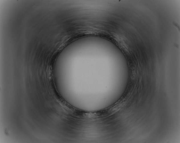 X0000093580273200710151003