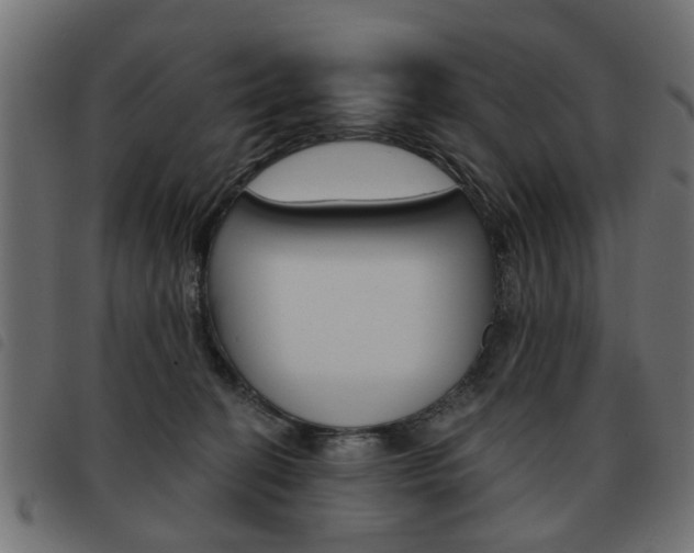 X0000093580274200710151003