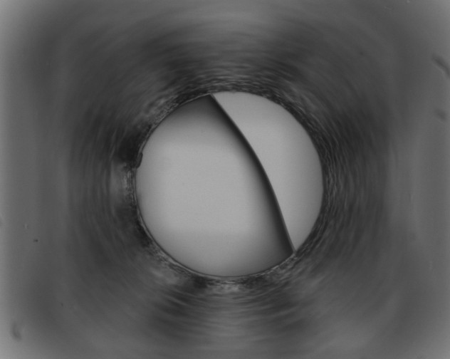 X0000093580276200710151003