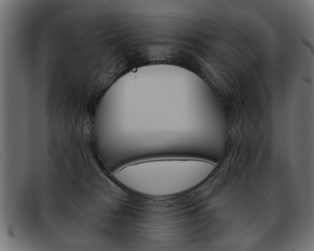 X0000093580277200710151003