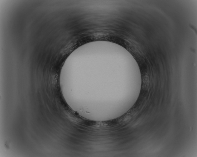 X0000093580278200710151003