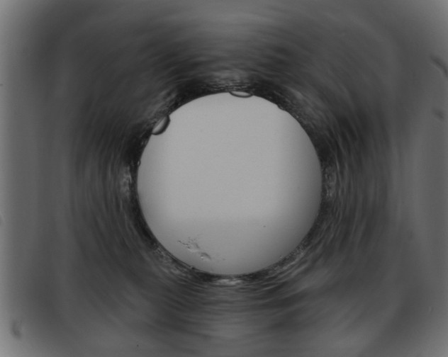 X0000093580279200710151003
