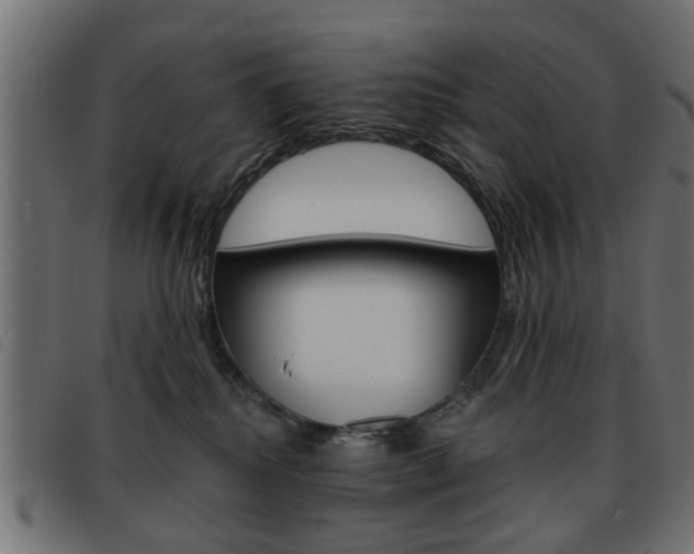 X0000093580280200710151003