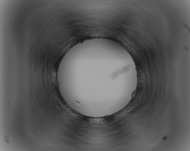X0000093580281200710151003