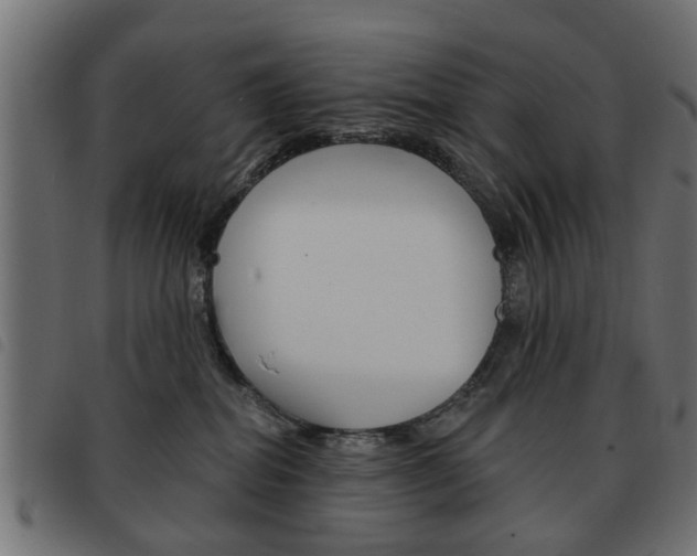 X0000093580282200710151003
