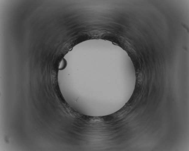 X0000093580283200710151003