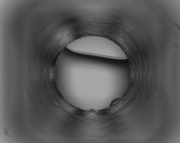 X0000093580285200710151003