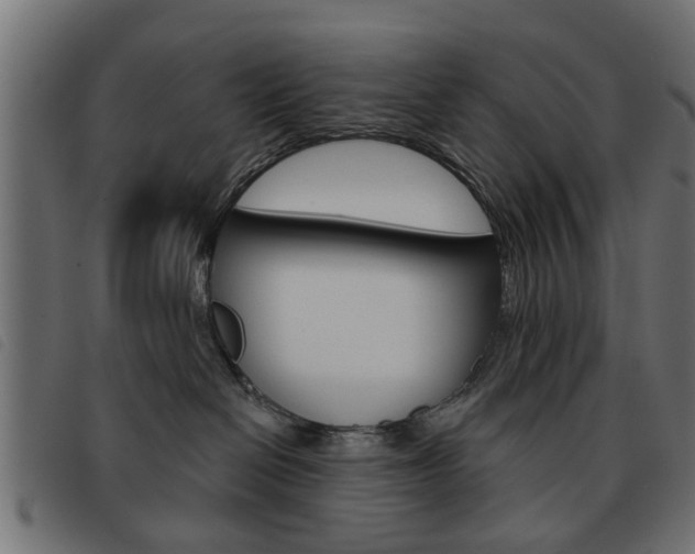 X0000093580286200710151003