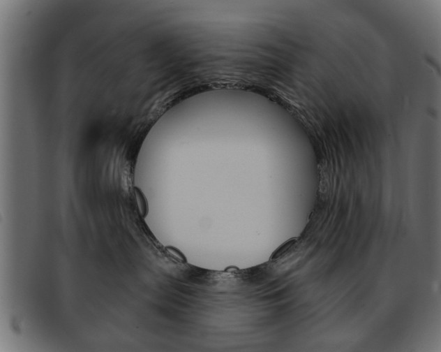X0000093580287200710151003